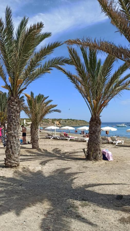 Apartment Only 250M From The Beach Los Locos Torrevieja Extérieur photo